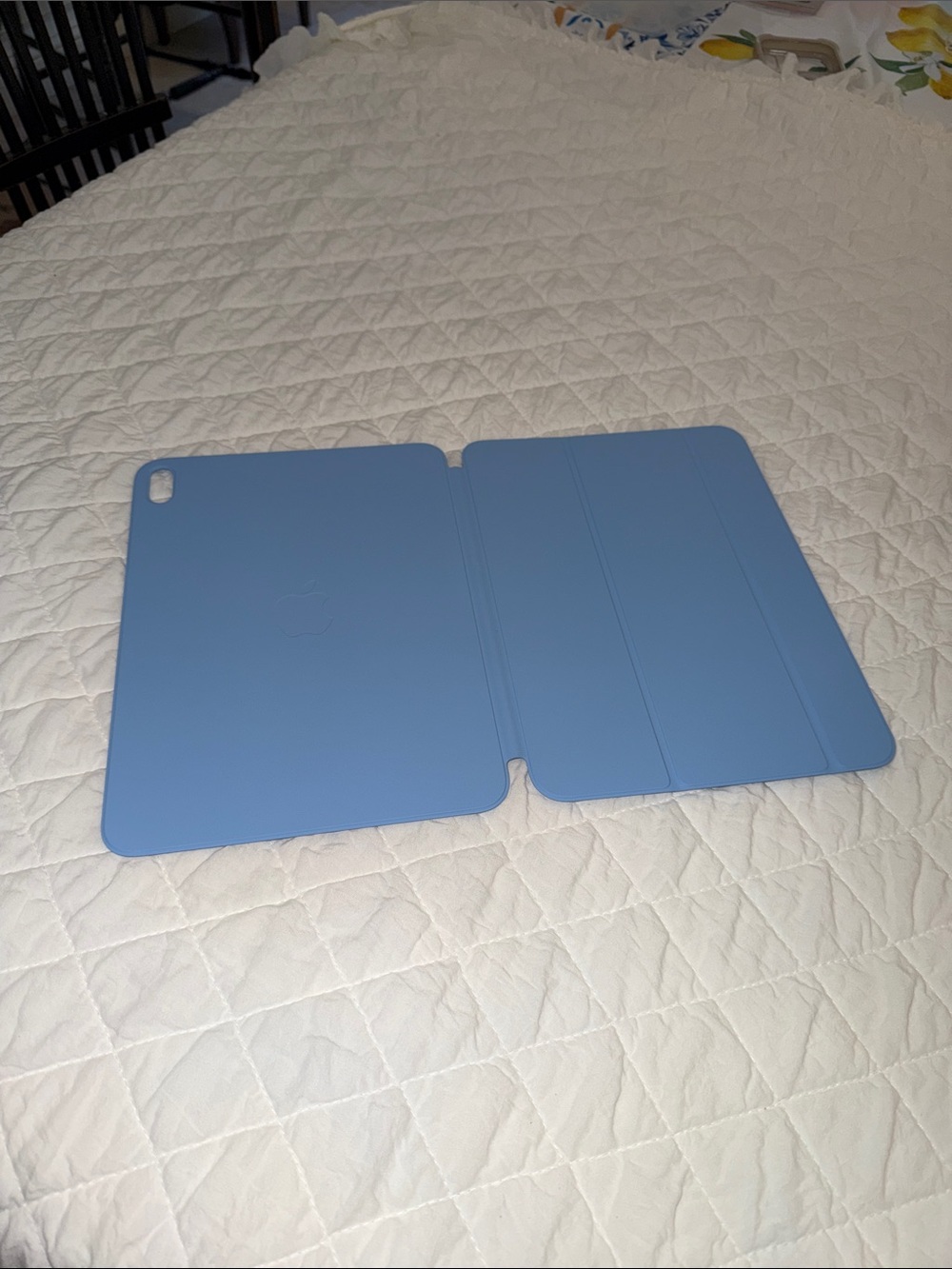 Apple Light Blue Smart Folio Cover for iPad